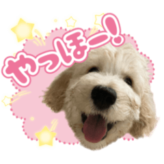 プエンテ実写スタンプ①