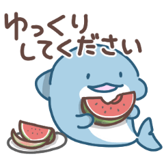 イルカの日常色々4（夏）