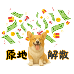 Vet Life Gets Furryous