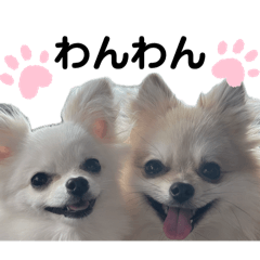 あられ&こつぶスタンプ