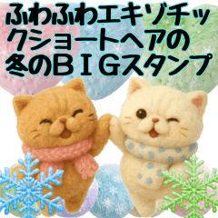 ふわふわエキゾチックショートヘア冬のBIG