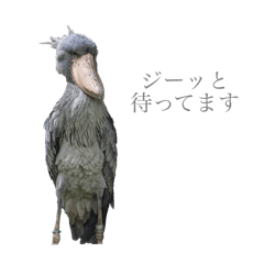 あにまるスタンプ！！！