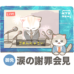 にゃんこニュース