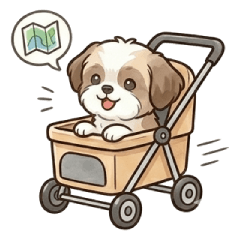 MM Puppy Barry Travel Thailand