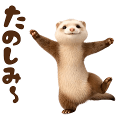 くねくね動くフェレット