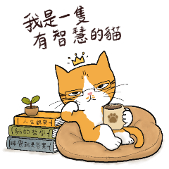 I'm a Smart Cat - Daily Life