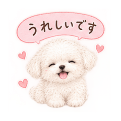 【敬語・日常・挨拶】マルチーズのクリーム