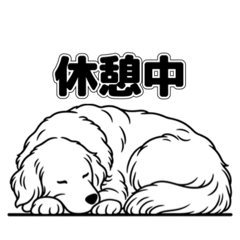 大きな文字のかわいい犬８