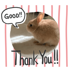 らぶくんのすたんぷ3