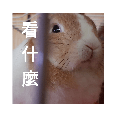 NWH1109_20190412231158