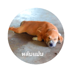 any any_20190426200355