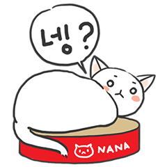 White cat Nana&#39;s fun day.(Korean ver)