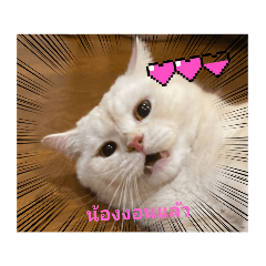 Aomsin_20230618221951