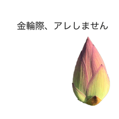 花　dodoスタンプ303flower