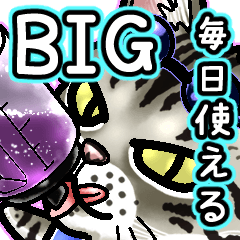 エジプシャンマウな猫⑪～☆毎日使えるBIG