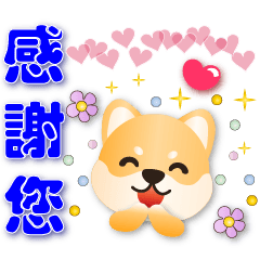 Cute Shiba - Commonly used phrases