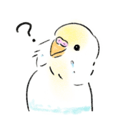 ご機嫌なセキセイインコ　2