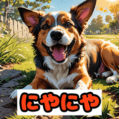 犬の感情40変化