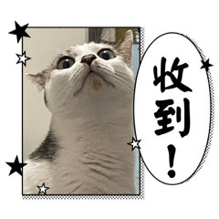 Amika_20250518114124