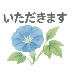 お花シリーズ〜朝顔〜