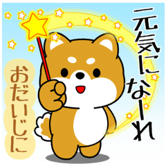 飛び出す！丁寧でやさしい豆柴