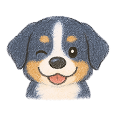 ゆるりんバーニーズマウンテンドッグ