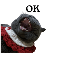 minminbluebritish_20251019091148