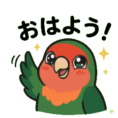 コザクラインコのさくちゃん２