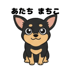 Machiko the Black Chihuahua.Cute Sticker