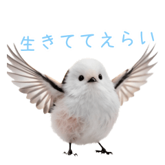 毎日褒める♪全肯定シマエナガ