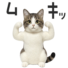 ねこのぬいぐるみ「もりお」