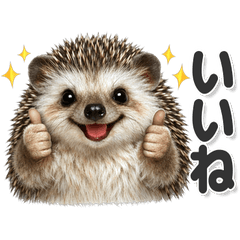 毎日使える！ ハリネズミ