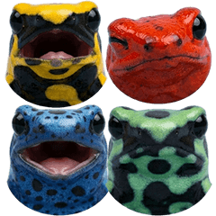 BIG! 色んなヤドクガエル　実写