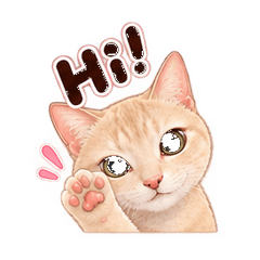 ChenBubbleCAT