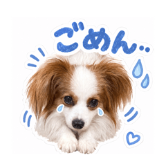パピオンのラテ