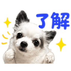 ガロちゃんスタンプ