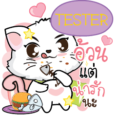 TESTER Seenuan Pussycat. e