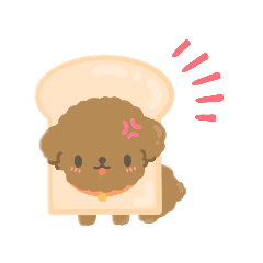 Brown Poodle Dog
