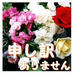 薔薇の花♡アソート6_挨拶メッセージ
