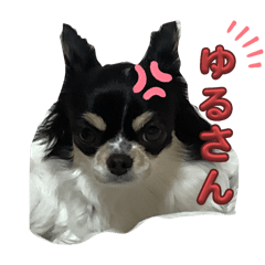 麦ちゃんチワワンスタンプ