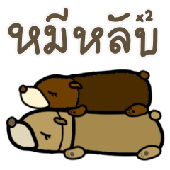 Sleepy Bear & Friends