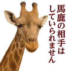 なかよしどうぶつ図鑑(毒吐くキリンさん)