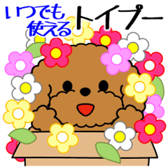 飛び出す！いつでも使えるトイプー