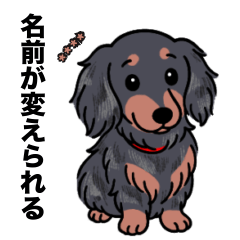 名前入りダックスロングシルバーダップル