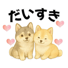 ほのぼの柴犬日和