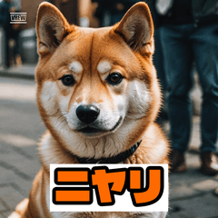 ほっこり子犬のスタンプ