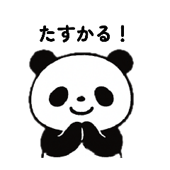 いつもぱんだとねこ