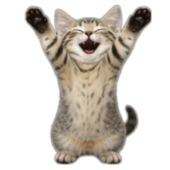 ちびねこ（mochibi）リアルバージョン