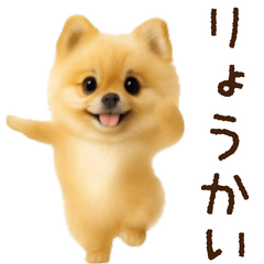 踊る！ポメラニアン