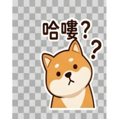 I am Shiba Daily Life